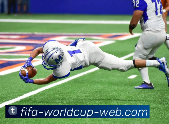 2026世界杯 官方网站服务体系